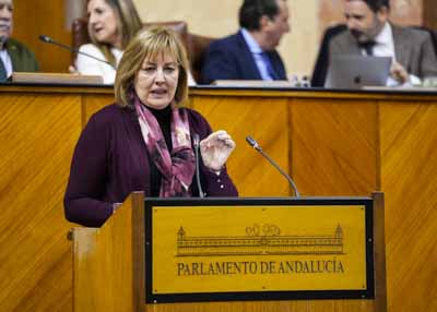 Cristina Alejandra Jimnez, del G.P. Vox, posiciona a su grupo parlamentario 