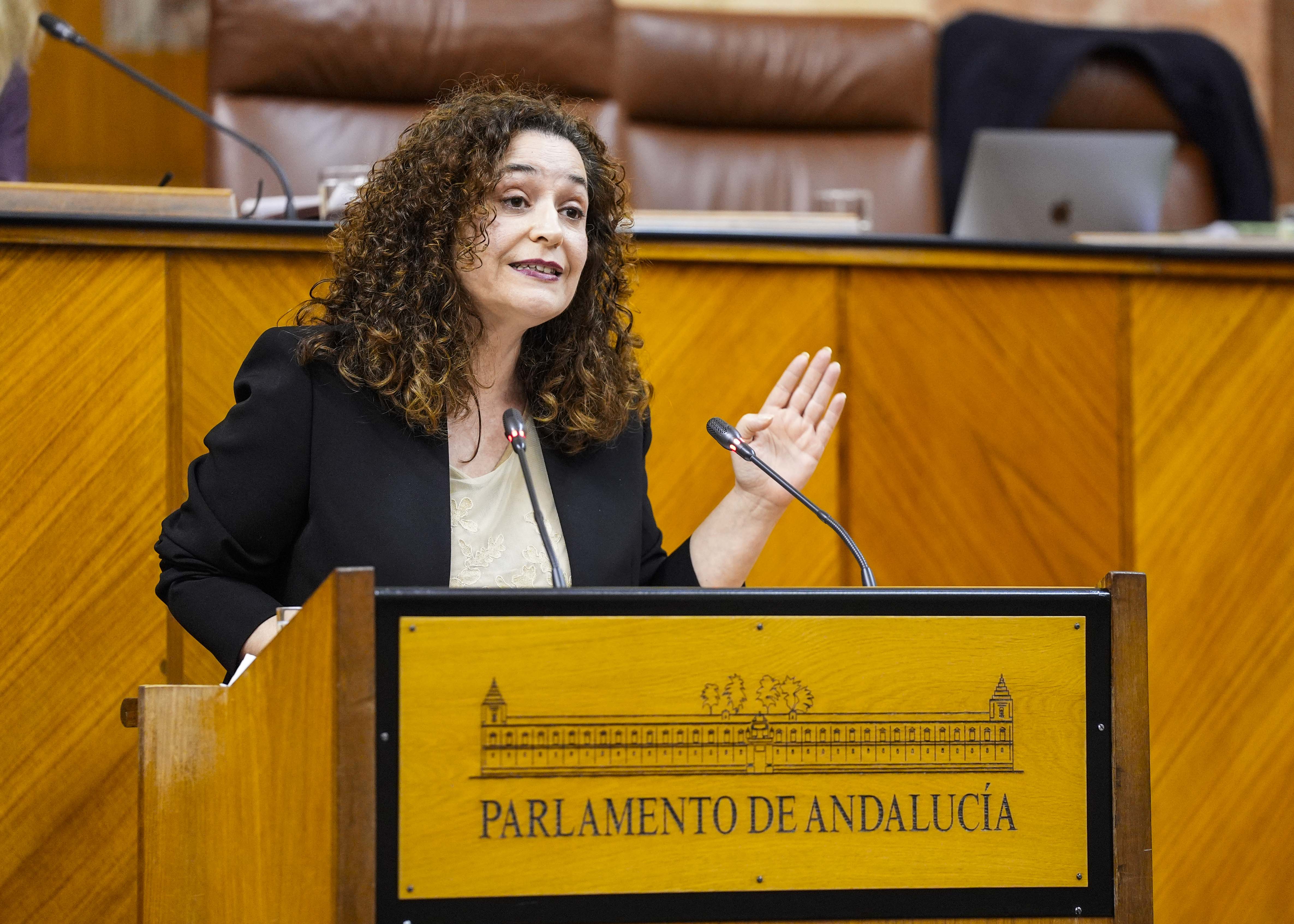 Inmaculada Nieto, portavoz de Por Andaluca, explica el parecer de su grupo respecto de la proposicin de ley de participacin 