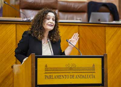 Inmaculada Nieto, portavoz de Por Andaluca, explica el parecer de su grupo respecto de la proposicin de ley de participacin 