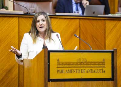 Por el Grupo Parlamentario Socialista es Irene Garca la encargada de argumentar la postura de su grupo respecto de la PLP  