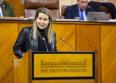   La diputada Jessica Trujillo, del Grupo Popular, cierra el debate de la proposicin de ley de participacin
