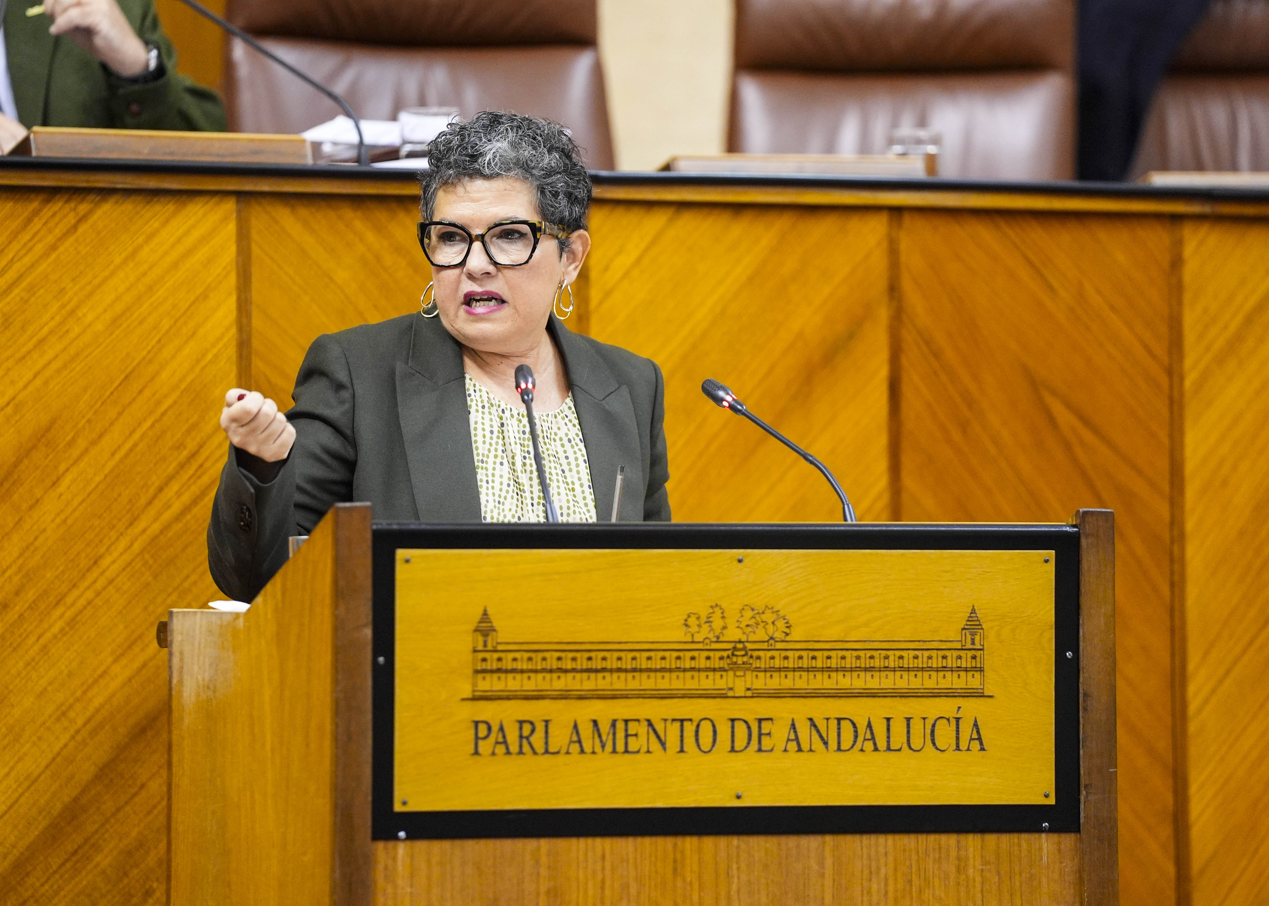 Mara Isabel Mora, presidenta del G.P. Mixto-Adelante Andaluca, inicia con su intervencin el debate del Proyecto de Ley del Presupuesto para 2025