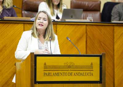 Alicia Murillo, portavoz del Grupo Socialista en la Comisin de Economa, Hacienda y Fondos Europeos 