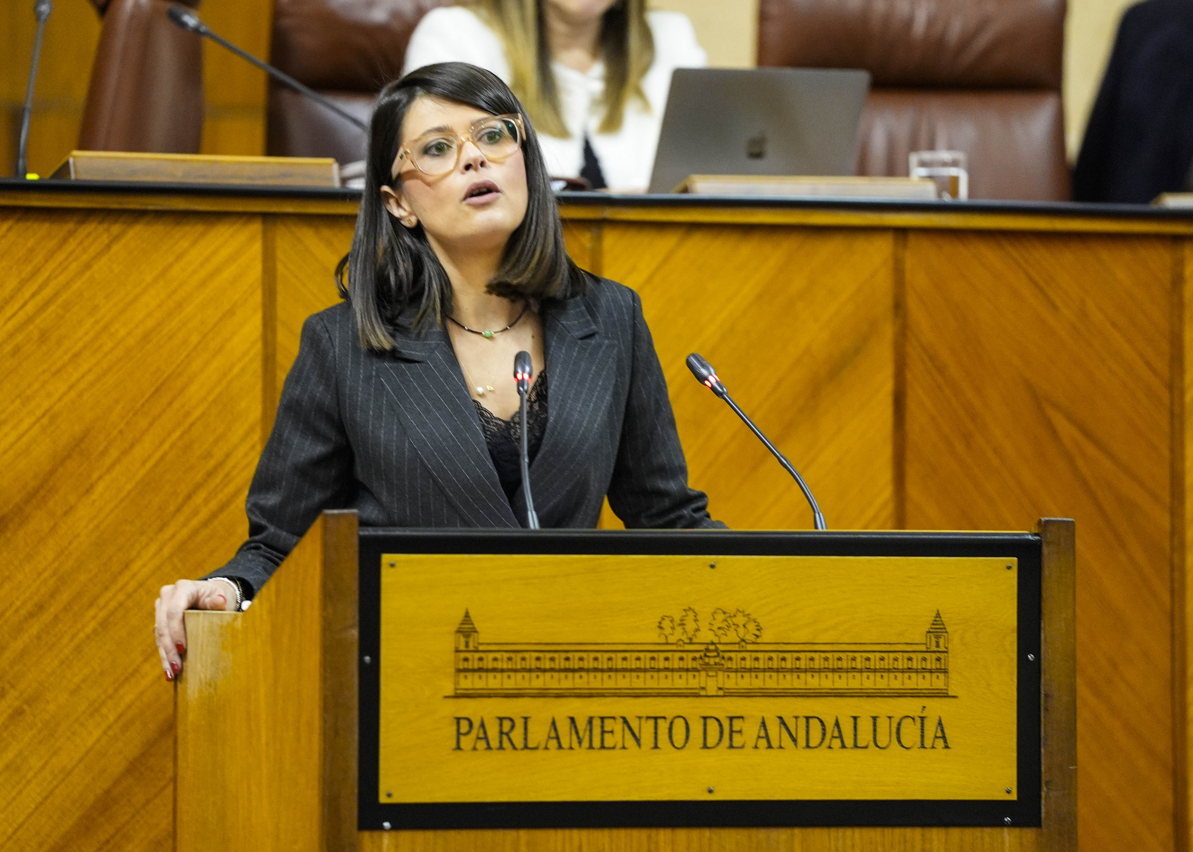 Toma la palabra ngeles Martnez, del Grupo Popular de Andaluca