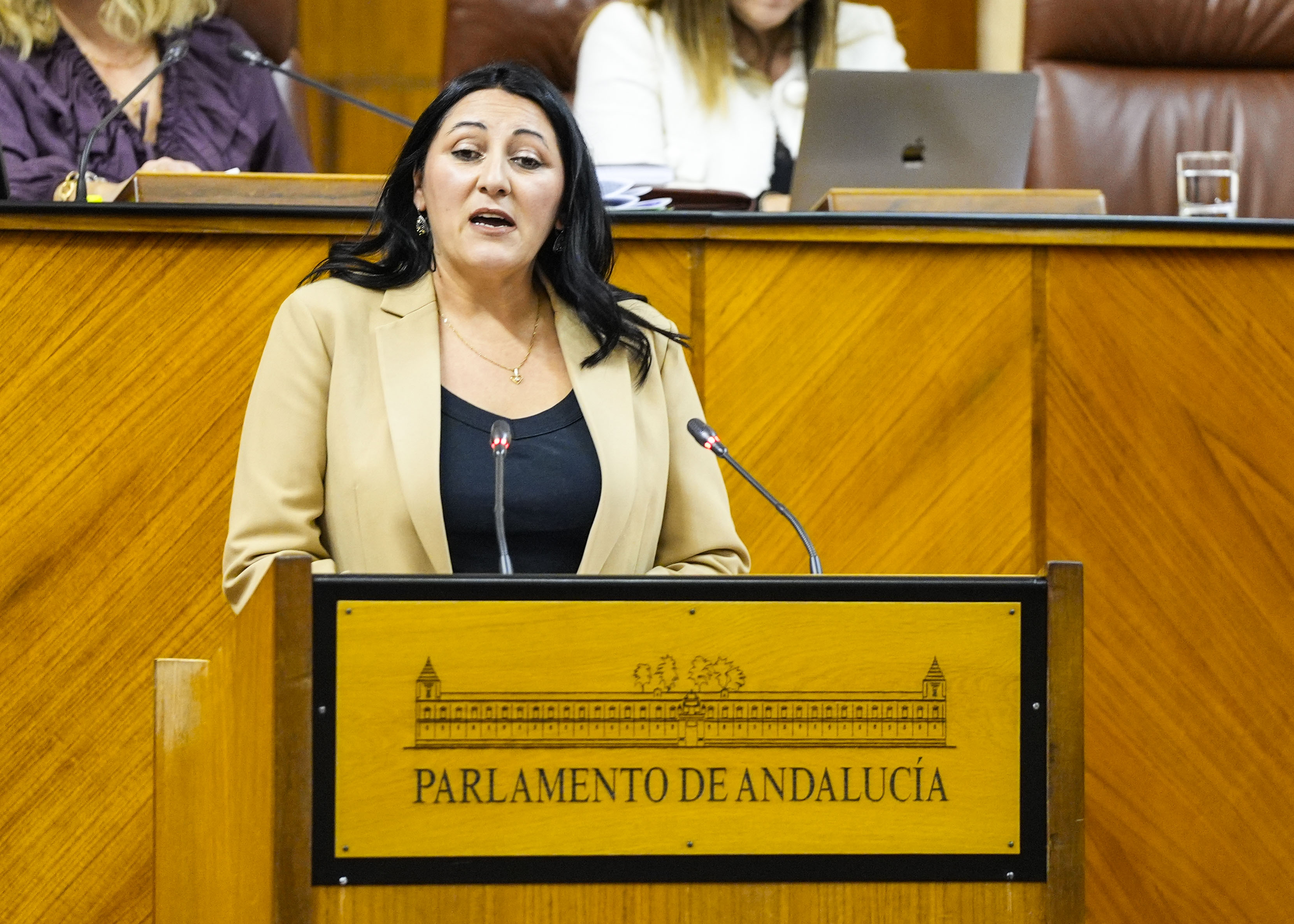   Alejandra Durn, del Grupo Por Andaluca, durante su intervencin 