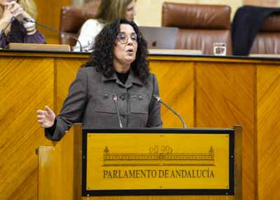 La diputada del Grupo Socialista Susana Rivas explica el punto de vista de su formacin 