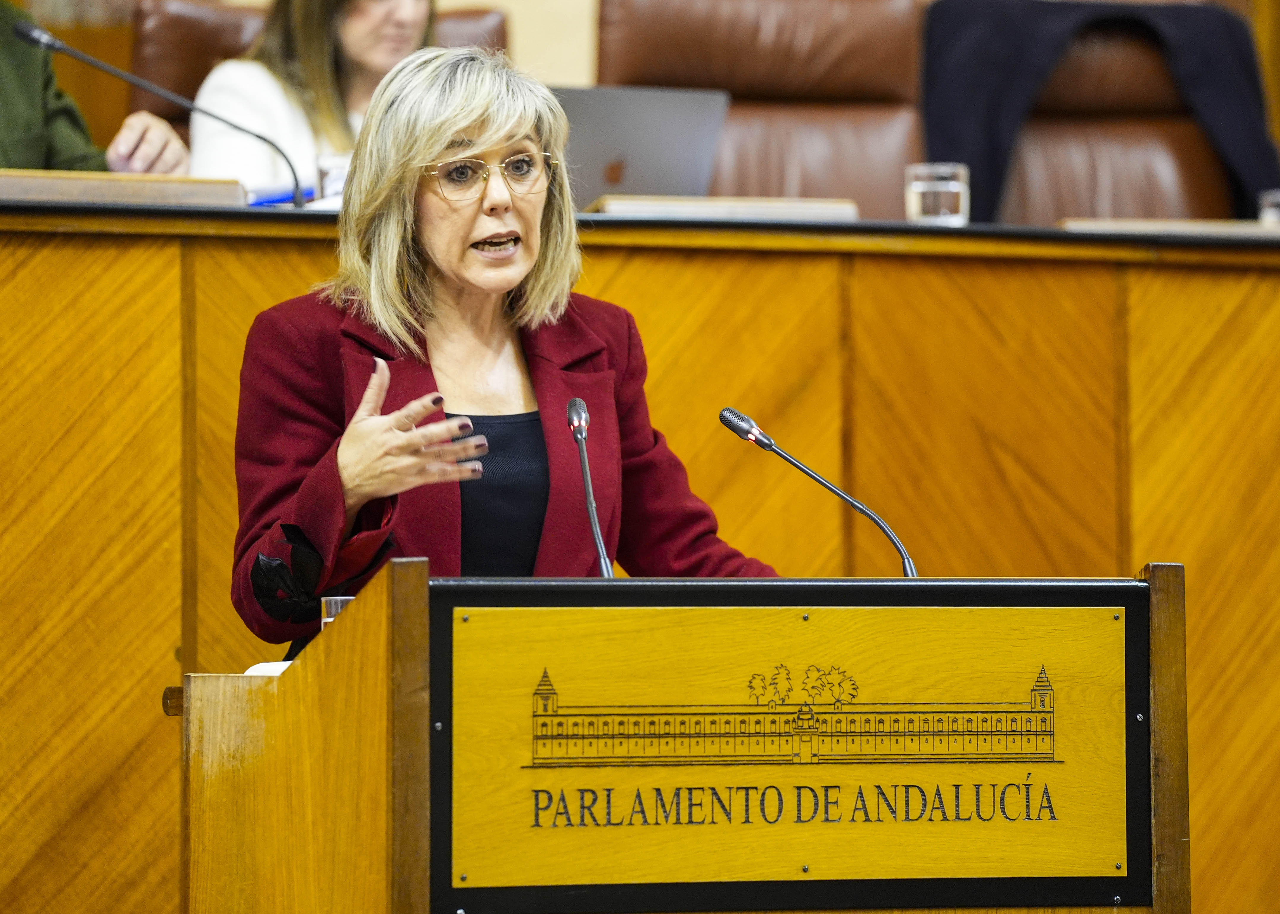 La diputada socialista Ana Mara Romero explica el posicionamiento de su grupo parlamentario 