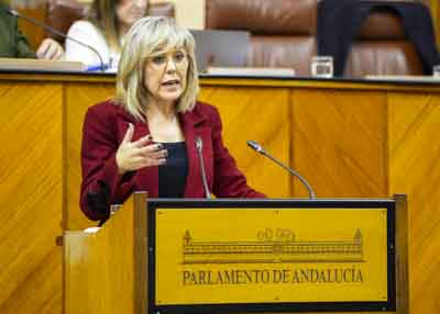 La diputada socialista Ana Mara Romero explica el posicionamiento de su grupo parlamentario 