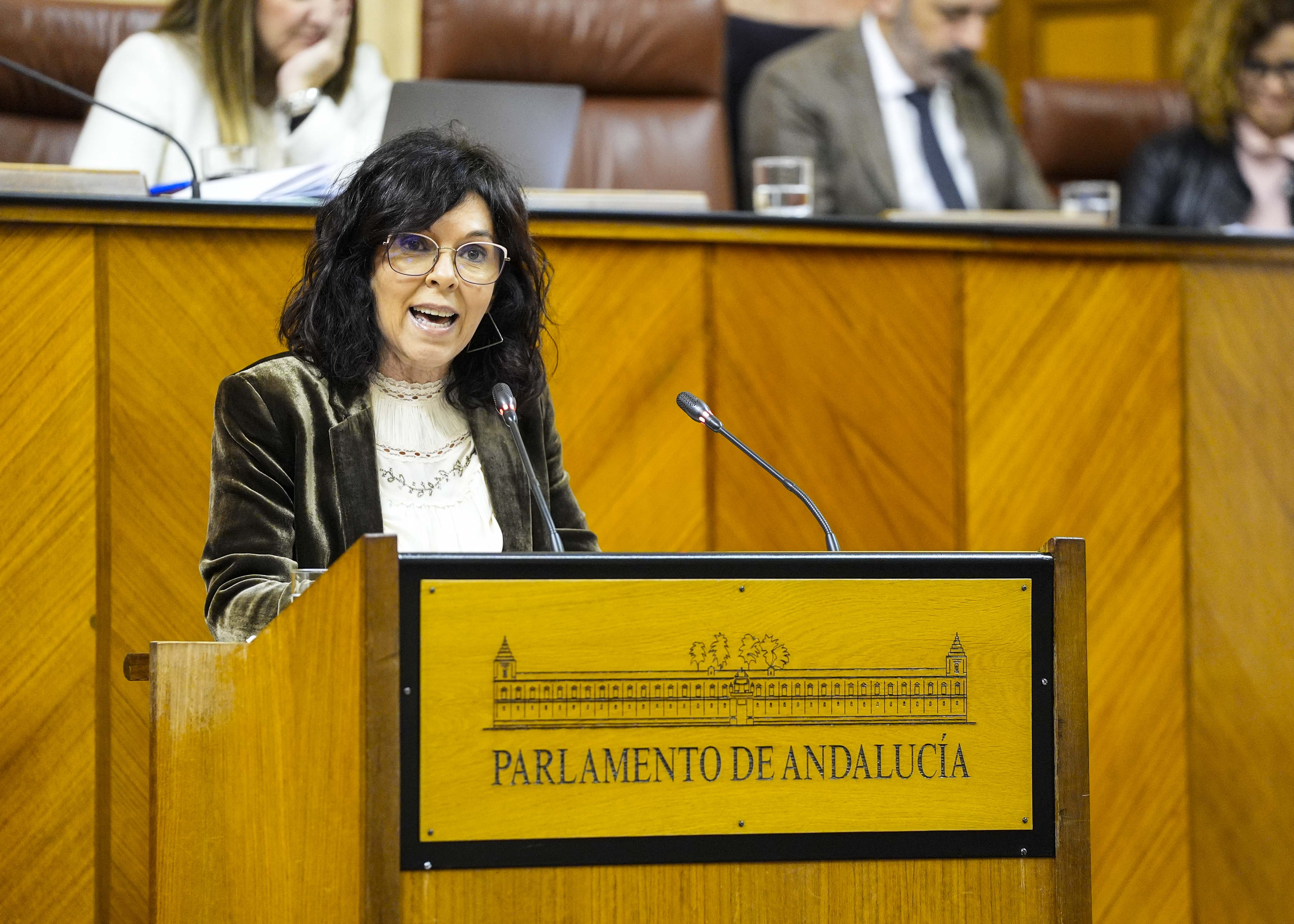  Por el Grupo Socialista, la diputada Mara ngeles Prieto expone el parecer de su grupo 