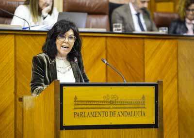  Por el Grupo Socialista, la diputada Mara ngeles Prieto expone el parecer de su grupo 