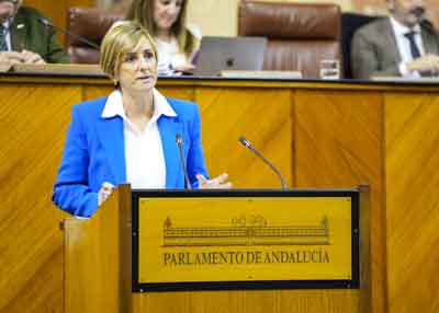 Para posicionar al Grupo Parlamentario Popular de Andaluca tiene la palabra la diputada Mara Jos Escarcena  