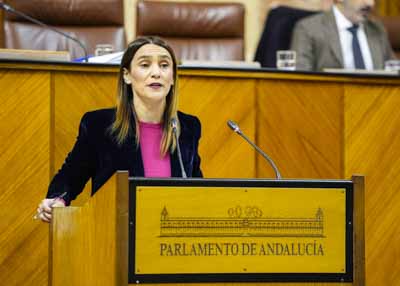La diputada Olga Manzano posiciona en el debate al Grupo Parlamentario Socialista 