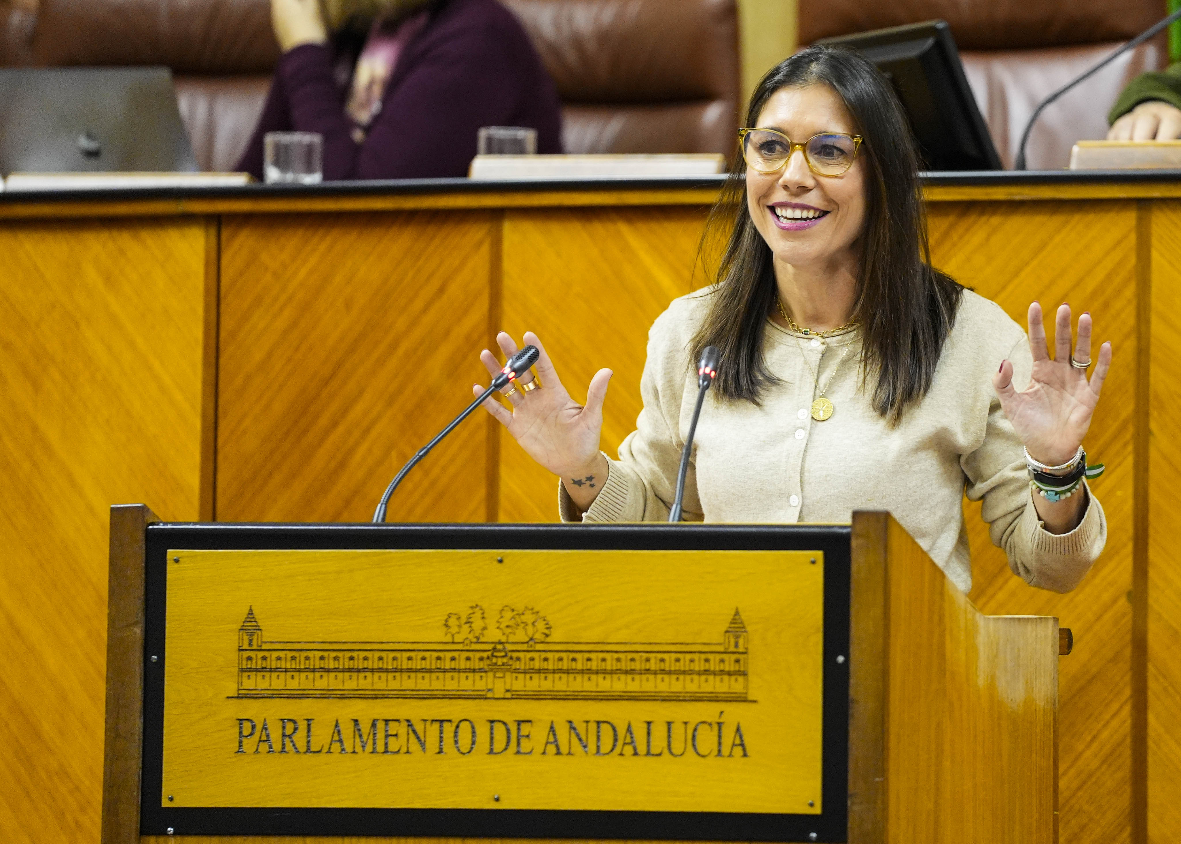 Mara Auxiliadora Izquierdo, parlamentaria del Grupo Popular, al inicio de su intervencin