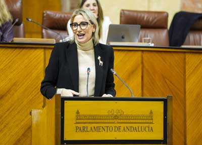 Clara Aguilera, del Grupo Parlamentario Socialista, toma la palabra 