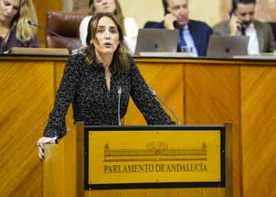  Turno de intervencin de Vernica Martos, del Grupo Parlamentario Popular de Andaluca 