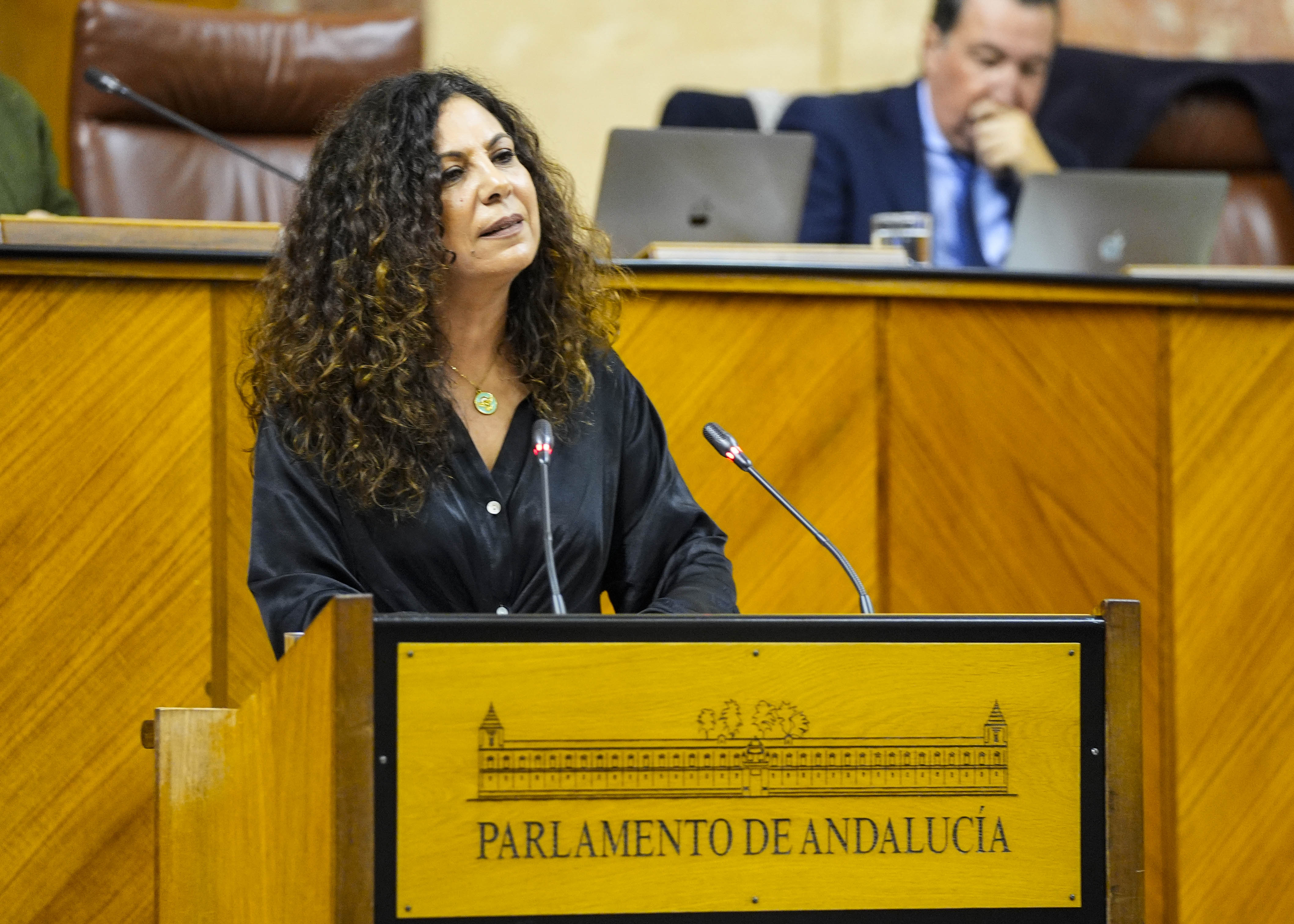 Posiciona al G.P. Vox en Andaluca la diputada Ana Mara Ruiz 