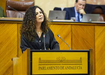 Posiciona al G.P. Vox en Andaluca la diputada Ana Mara Ruiz 