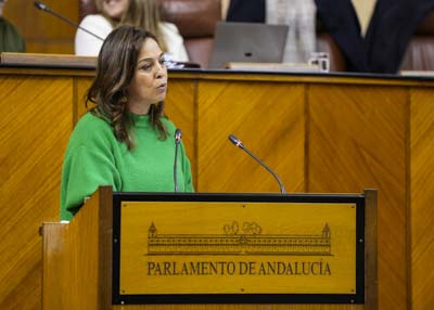 Toma la palabra Mara Isabel Ambrosio, del G.P. Socialista