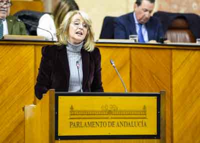 Mara Pilar Pintor formula los argumentos del Grupo Popular en una de las secciones del debate 