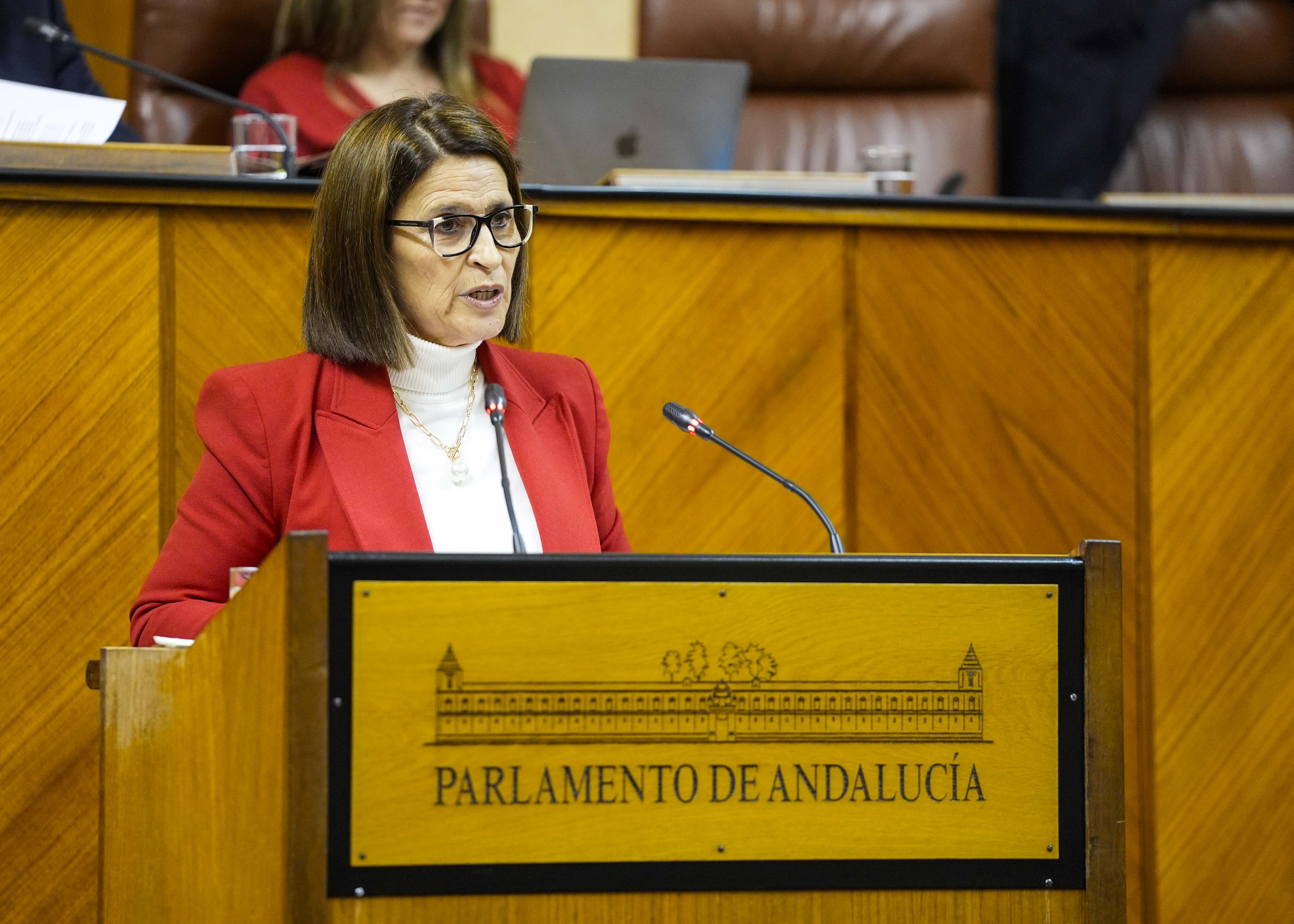     Dolores Martn, del Grupo Popular, posiciona a su grupo en el debate de presupuestos