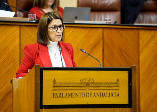     Dolores Martn, del Grupo Popular, posiciona a su grupo en el debate de presupuestos