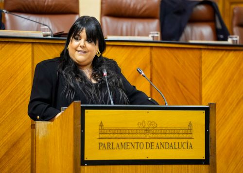   Mnica Morales, del Grupo Popular, defiende desde la tribuna de oradores la posicin de su grupo ante las enmiendas presentadas