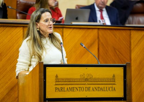    Por el Grupo Parlamentario Vox toma la palabra su diputada Montserrat Cervantes 