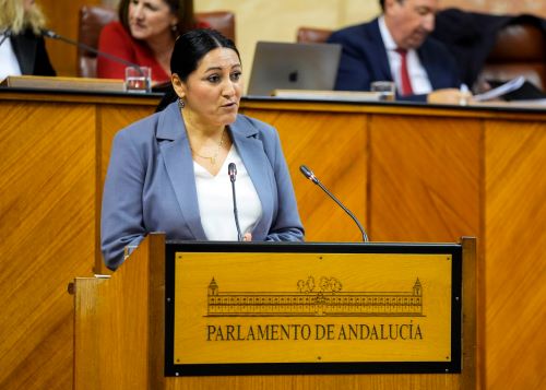  Alejandra Durn, de Por Andaluca, toma la palabra en el debate de presupuestos