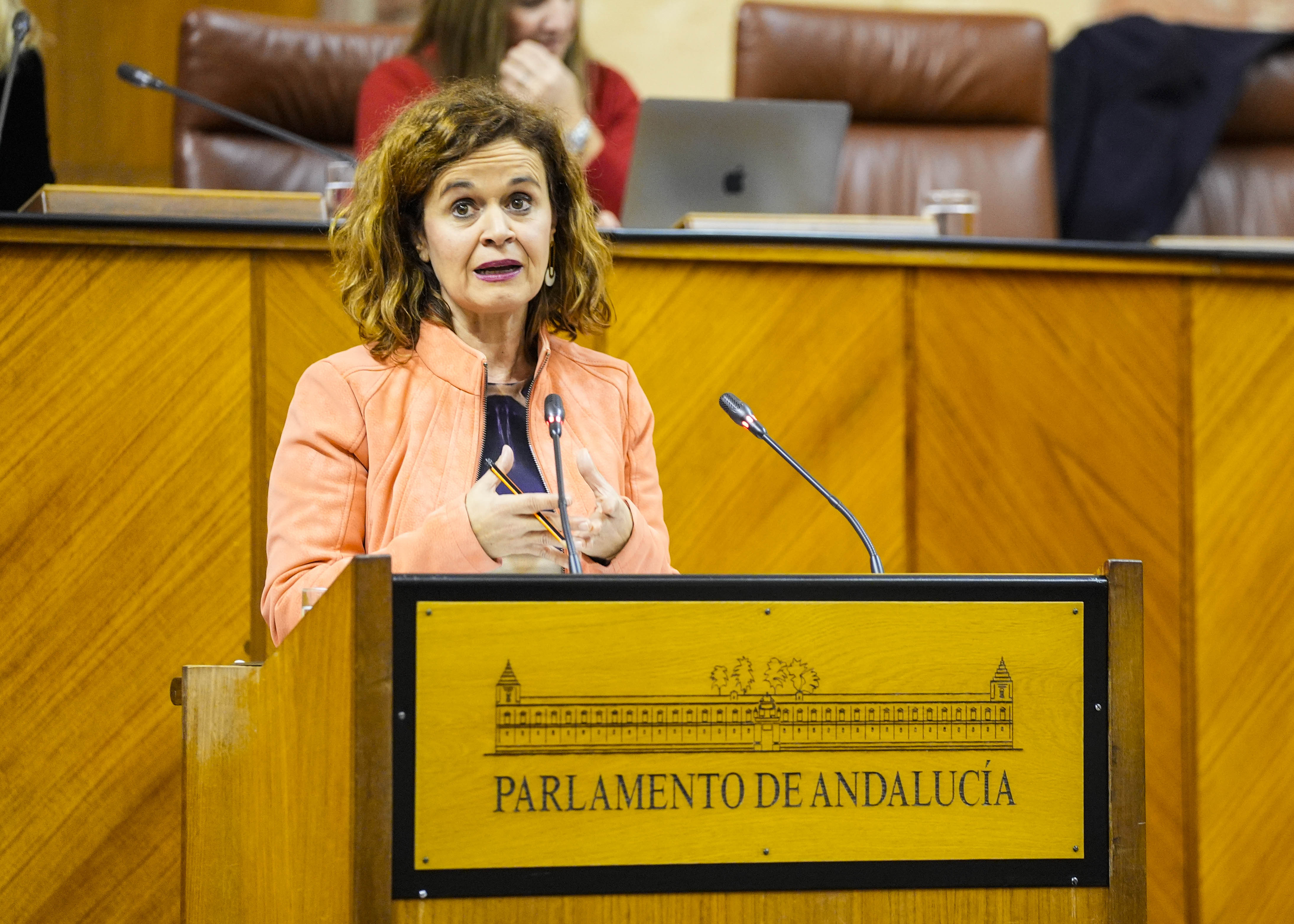   La portavoz de Por Andaluca, Esperanza Gmez, defiende las enmiendas presentadas por su grupo a una de las secciones presupuestarias