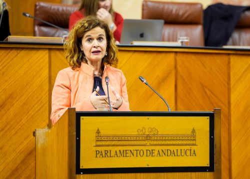  La portavoz de Por Andaluca, Esperanza Gmez, defiende las enmiendas presentadas por su grupo a una de las secciones presupuestarias