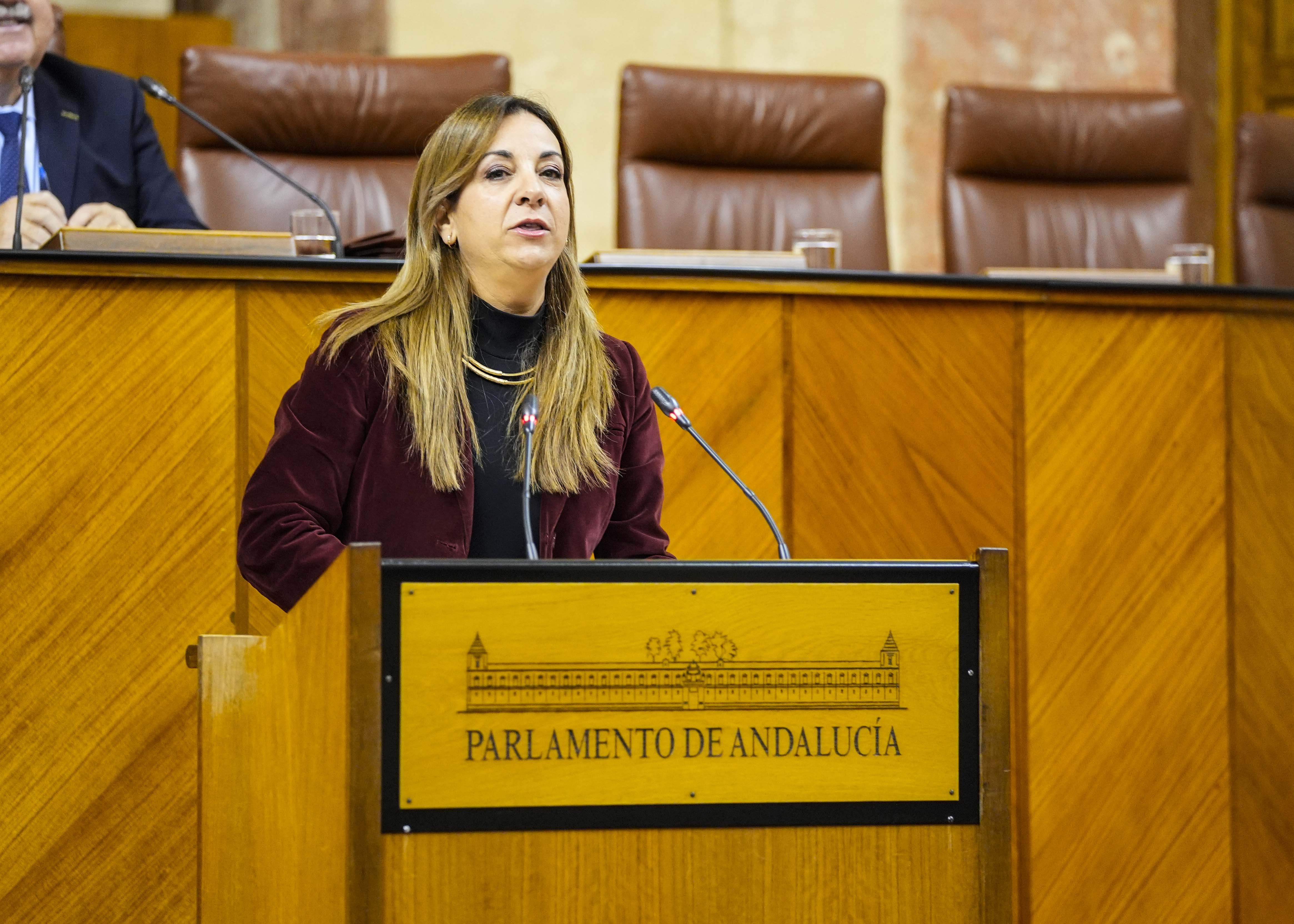 La diputada Encarnacin Mara Martnez defiende la posicin del Grupo Parlamentario Socialista