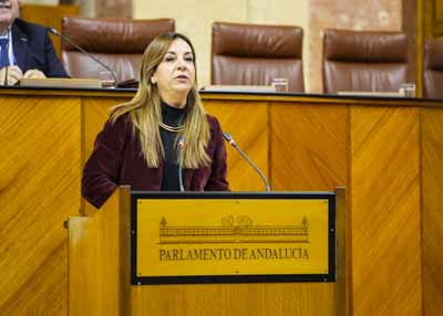 La diputada Encarnacin Mara Martnez defiende la posicin del Grupo Parlamentario Socialista
