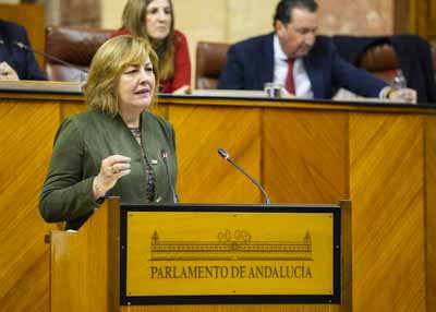 Alejandra Jimnez, del Grupo Vox en Andaluca, expone la opinin de su grupo   