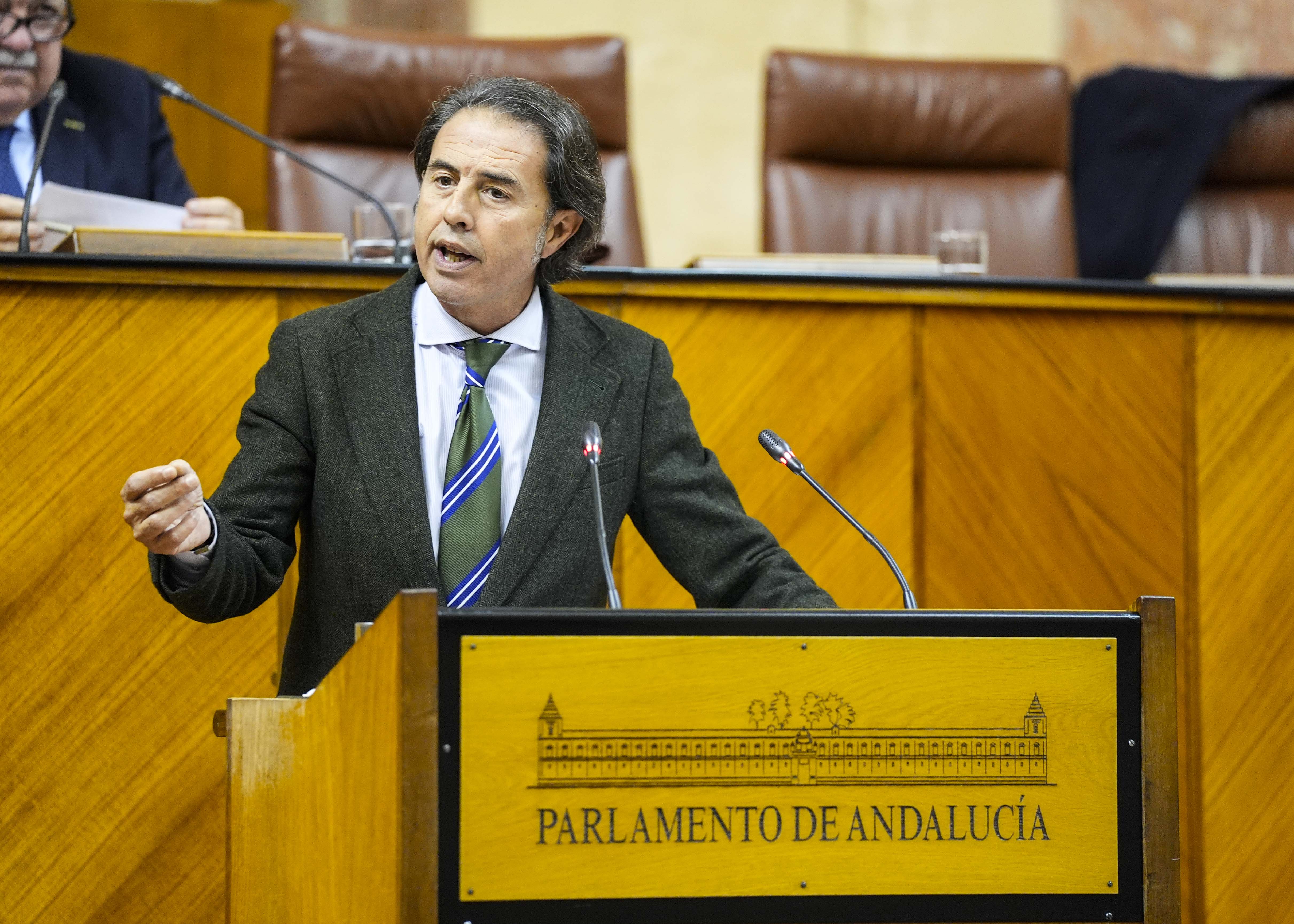  Para posicionar al Grupo Vox en Andaluca toma la palabra el diputado Benito Morillo 