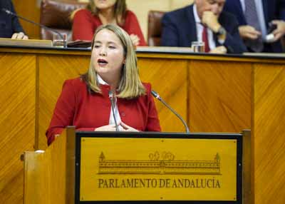 Alicia Murillo, portavoz del Grupo Socialista en la Comisin de Economa, Hacienda y Fondos Europeos, durante su intervencin de hoy 