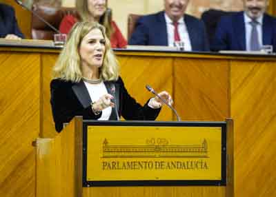 Ana Mestre, del Grupo Parlamentario Popular de Andaluca, defiende la postura de su grupo  