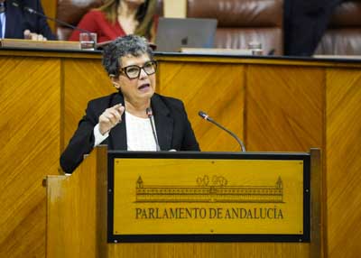 Mara Isabel Mora, presidenta del G.P. Mixto-Adelante Andaluca, posiciona a su grupo 