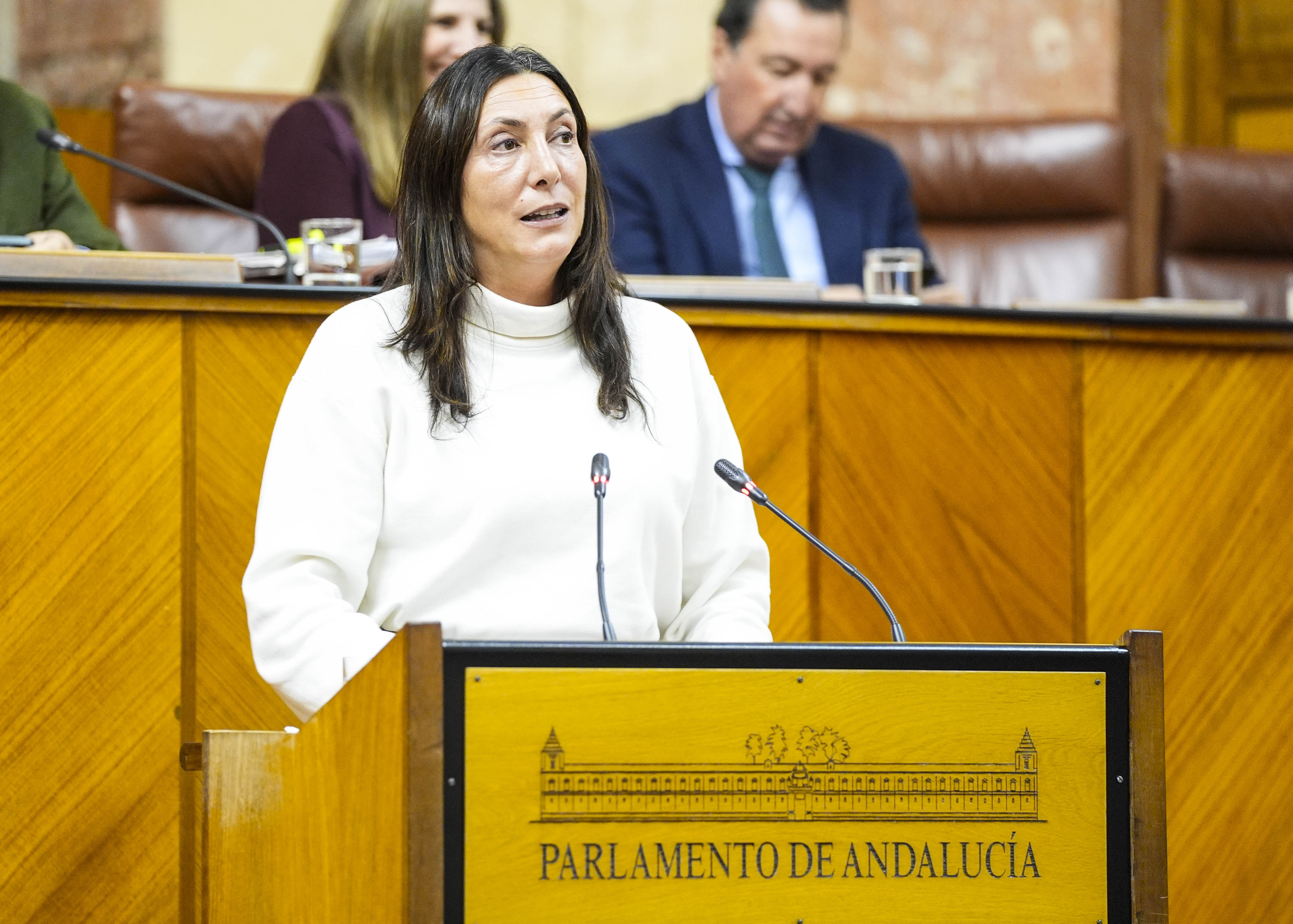 La consejera de Inclusin Social, Juventud, Familias e Igualdad, Loles Lpez, inicia el debate del III Plan de Infancia y Adolescencia de Andaluca 2024-2027 