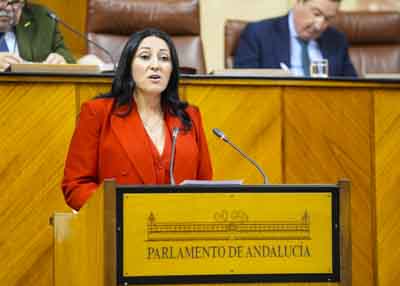  Alejandra Durn, portavoz adjunta del G.P. Por Andaluca, manifiesta el parecer de su grupo ante el III Plan de Infancia y Adolescencia 