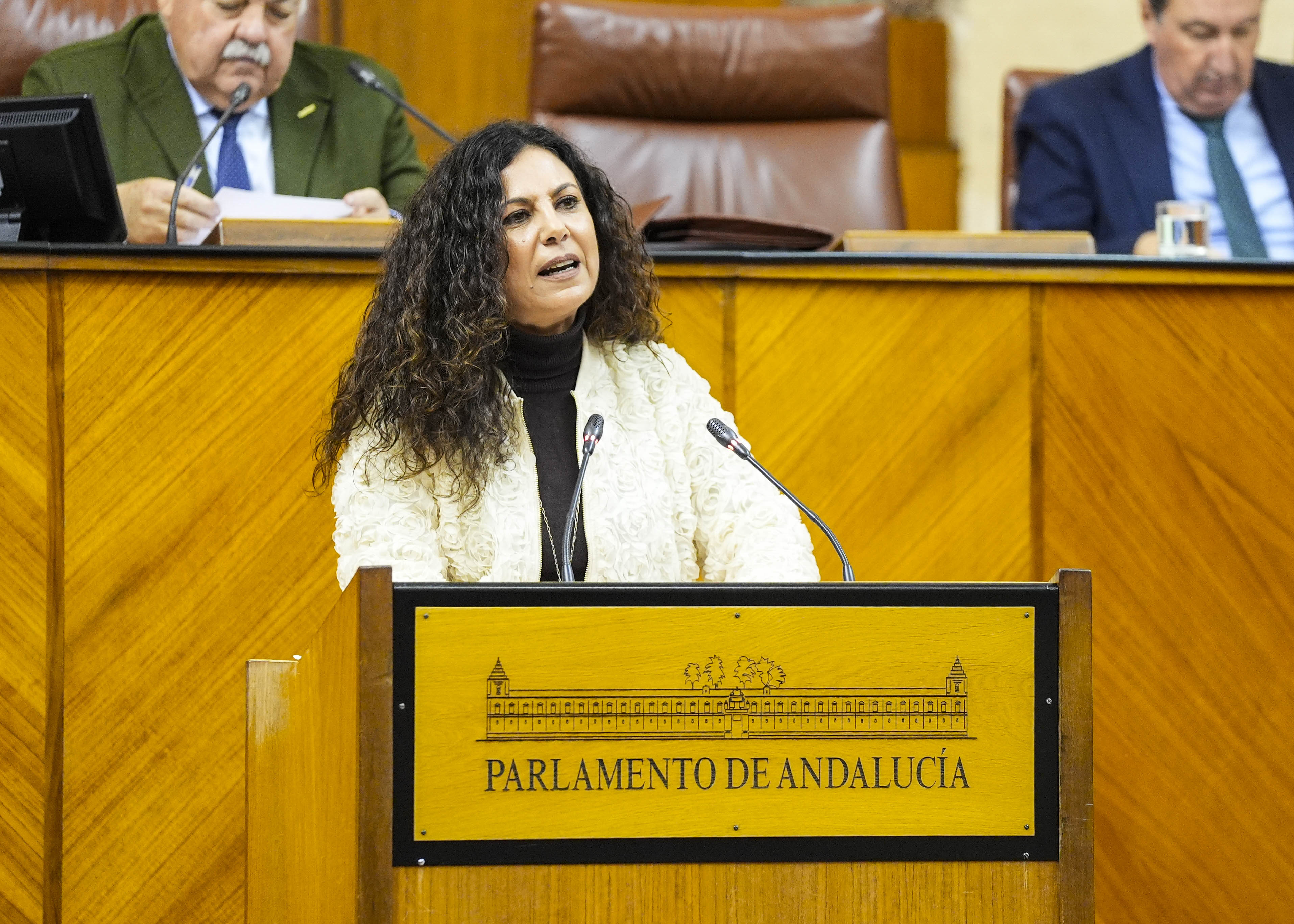   Para posicionar al Grupo Parlamentario Vox en Andaluca en el debate del III Plan de Infancia y Adolescencia, interviene Ana Mara Ruiz  
