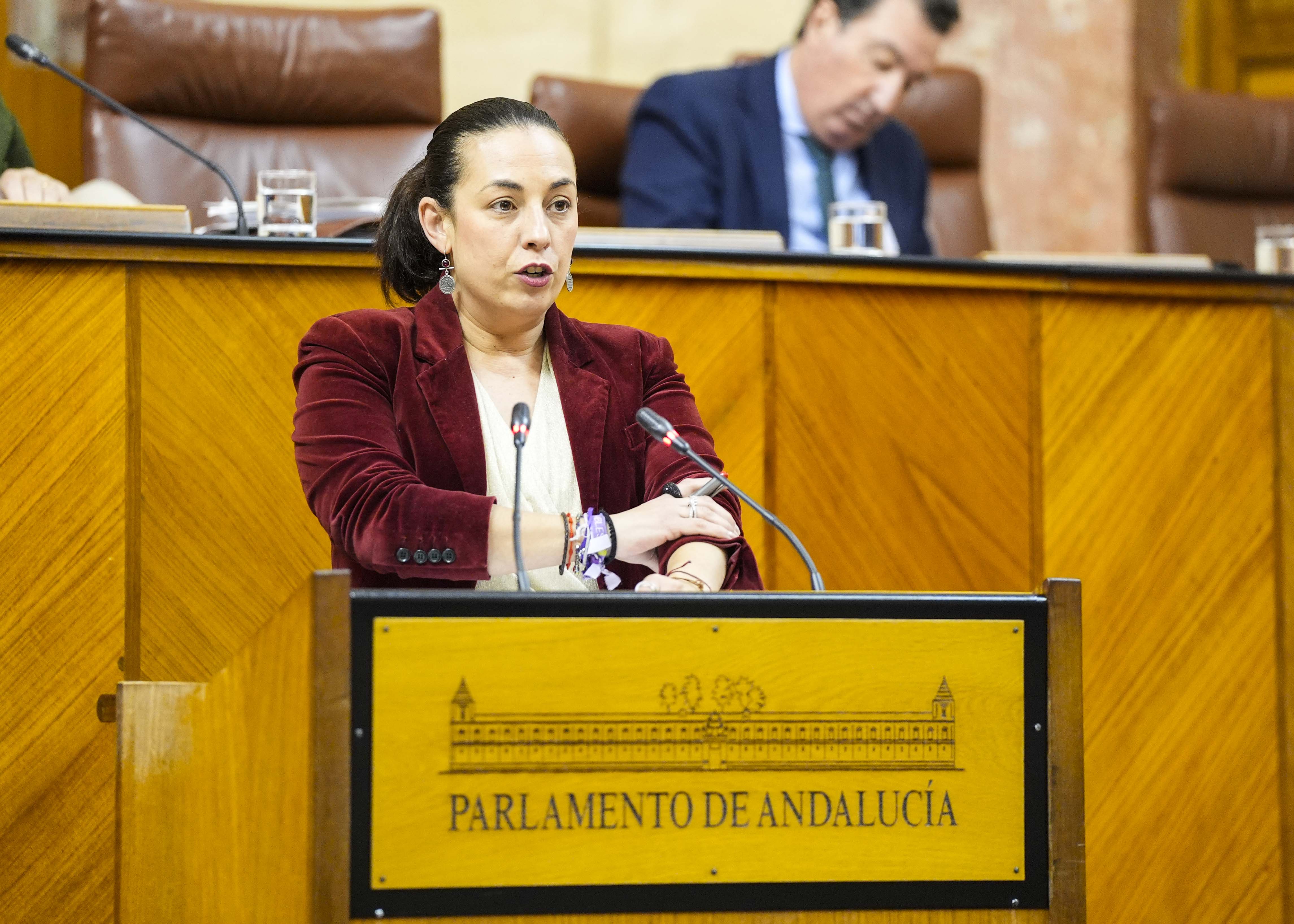  Mara de las Mercedes Gmez posiciona al Grupo Parlamentario Socialista en el debate del III Plan de Infancia y Adolescencia de Andaluca