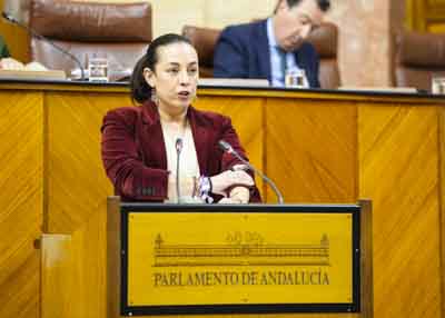  Mara de las Mercedes Gmez posiciona al Grupo Parlamentario Socialista en el debate del III Plan de Infancia y Adolescencia de Andaluca