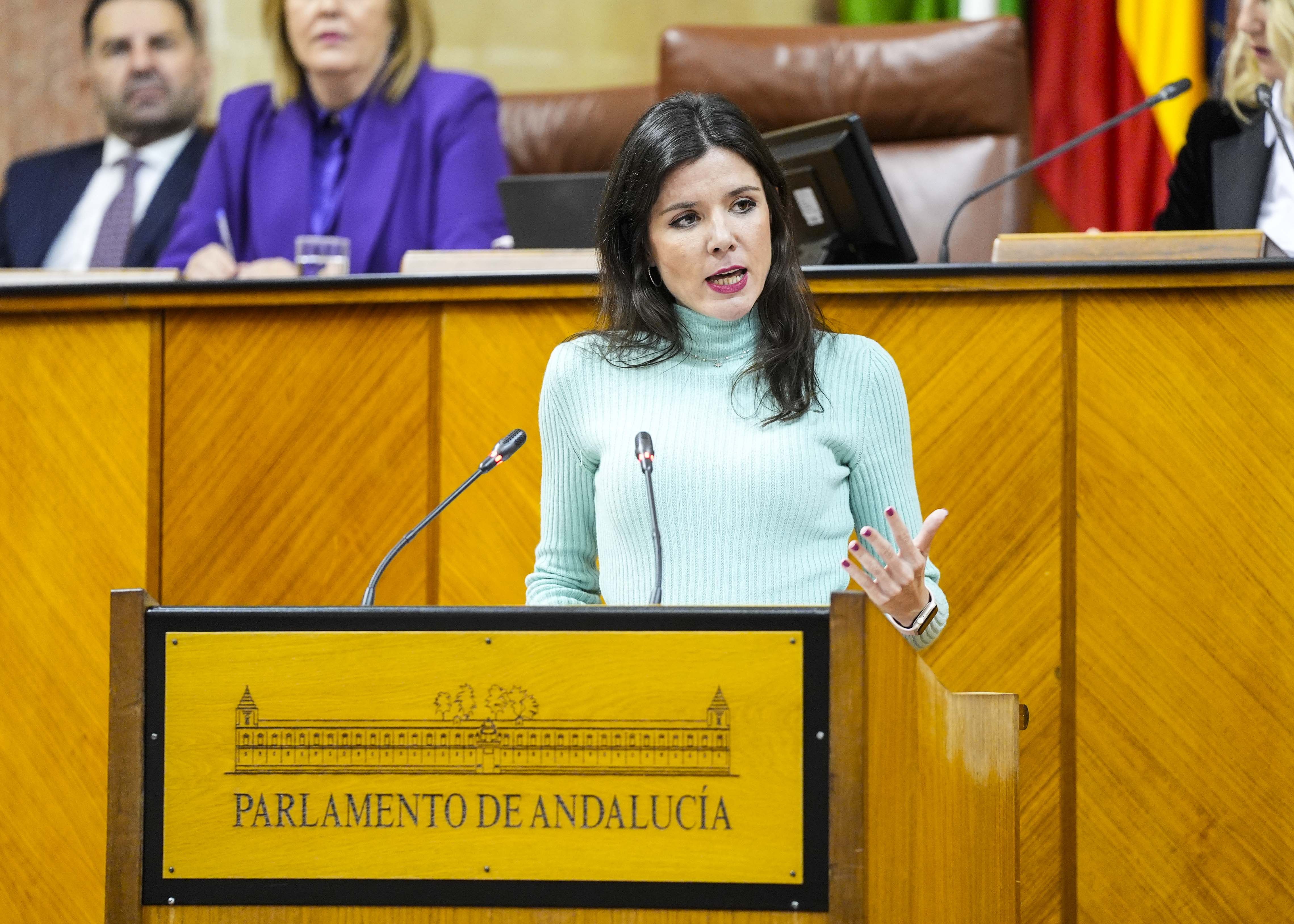   Por el Grupo Popular de Andaluca, la diputada Dolores Caetano explica el parecer de su formacin sobre el III Plan de Infancia y Adolescencia