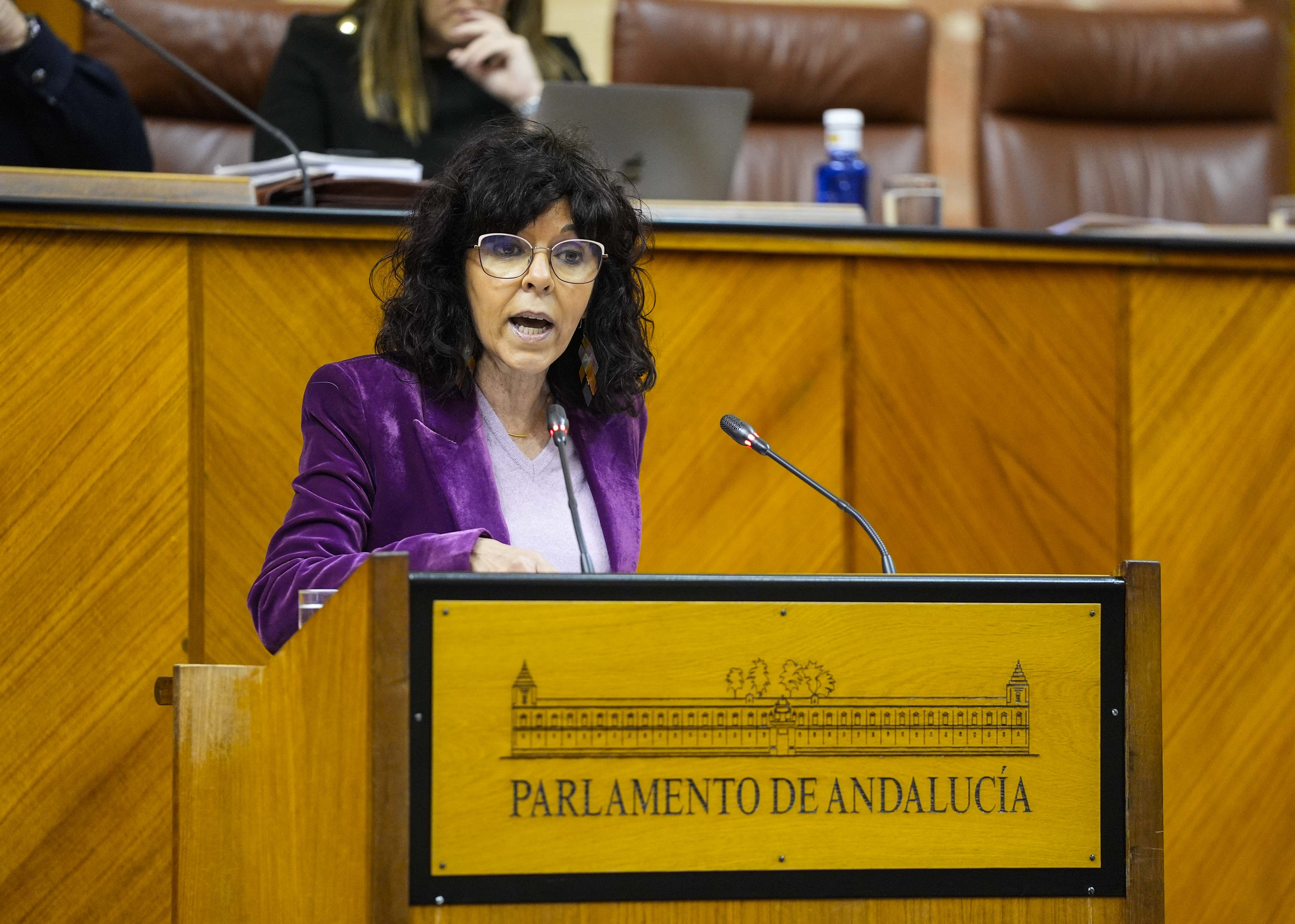 Mara ngeles Prieto, del G.P. Socialista, presenta una interpelacin relativa a poltica general en materia de sanidad