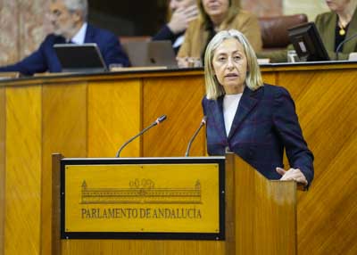  La consejera de Salud y Consumo, Roco Hernndez, contesta a la interpelacin 
