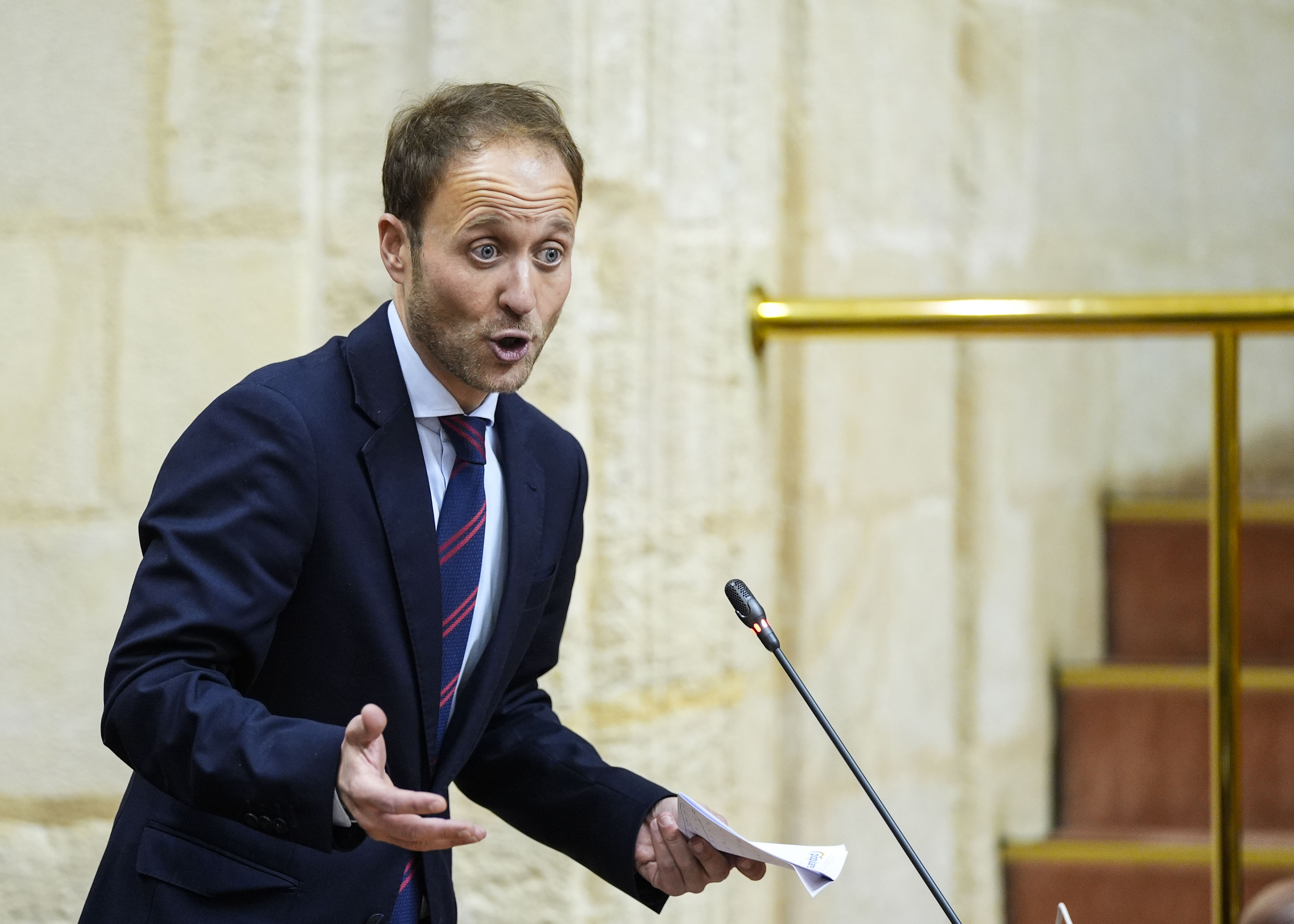 Erik Domnguez, del Grupo Popular, formula una pregunta relativa al apoyo financiero a los ayuntamientos andaluces 