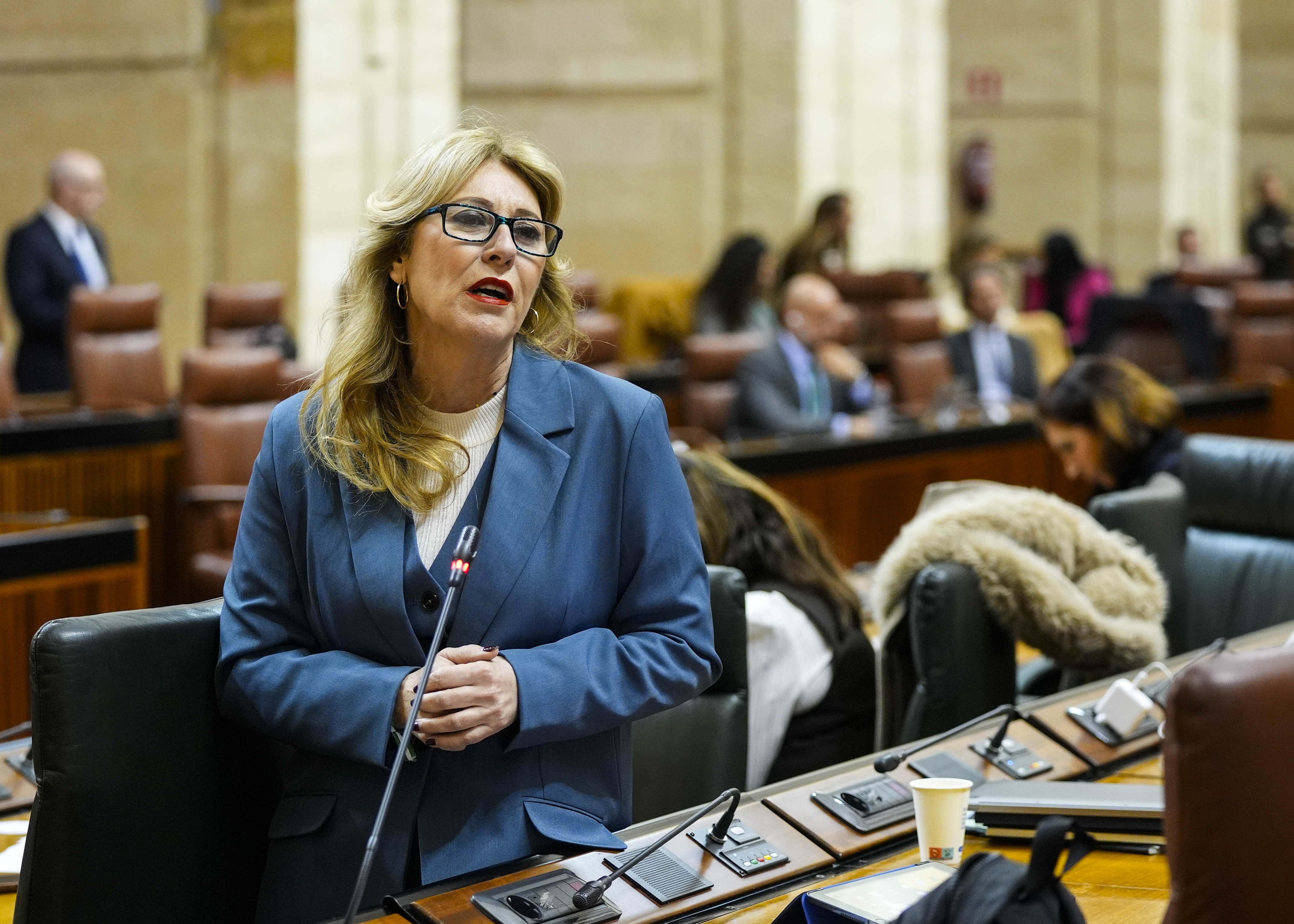 Carolina Espaa, consejera de Economa, Hacienda y Fondos Europeos, contesta a la pregunta 