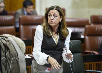 La consejera de Desarrollo Educativo y Formacin Profesional, Mara del Carmen Castillo, responde 