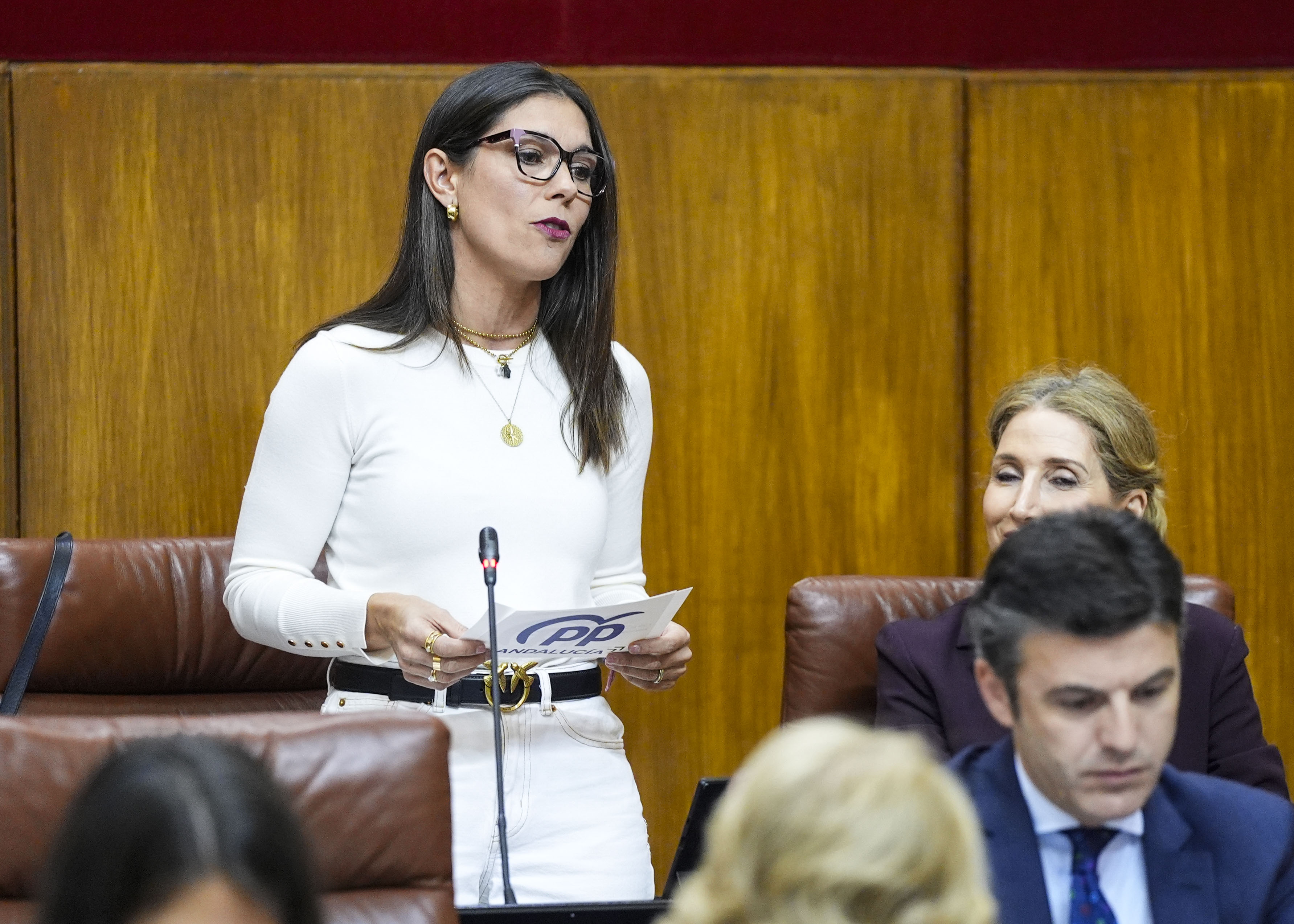 Por el Grupo Popular, la diputada  Mara Auxiliadora Izquierdo se interesa por las actuaciones de la Junta de Andaluca para la promocin de la investigacin y el desarrollo en microelectrnica
