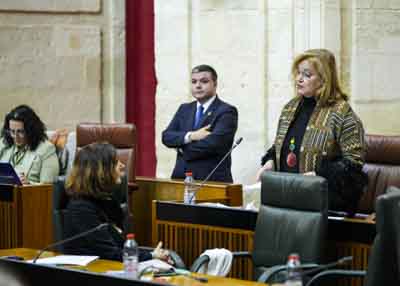 La diputada del Grupo Popular Mara Jos de Alba formula una pregunta relativa a apoyo en favor del comercio interior de Andaluca 
